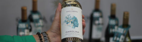 Vinhos | Reserva Carolina