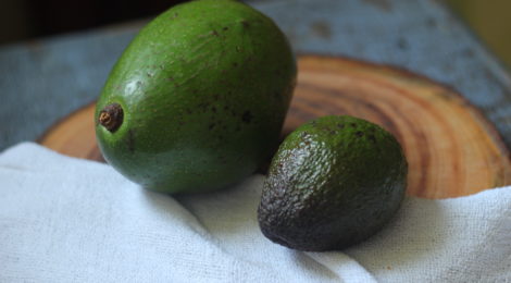 Frutas de Março | Abacate x Avocado